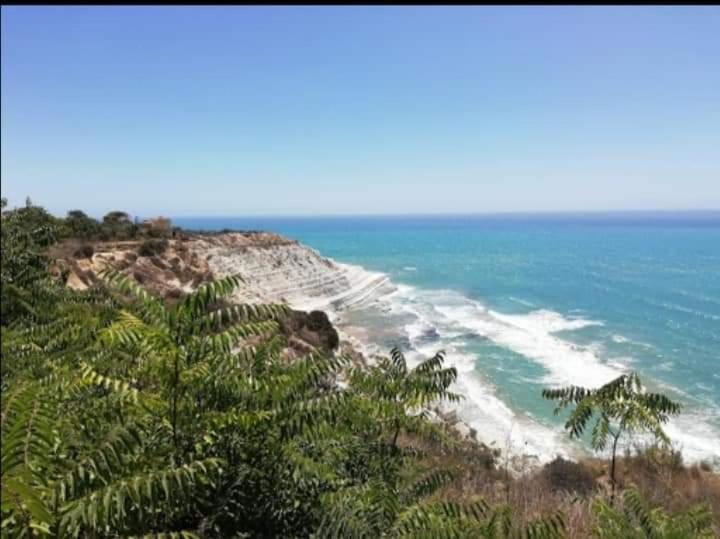 Casa Vacanza Rosariomaria 레알몬테 외부 사진